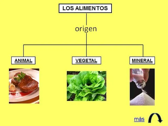 APRENDER ES DIVERTIDO 1º Y 2º: Origen animal, vegetal y mineral de ...