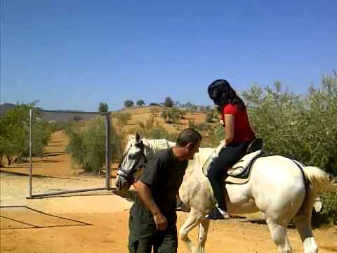 Como aprender a montar a caballo-Leccion 1 - YouTube