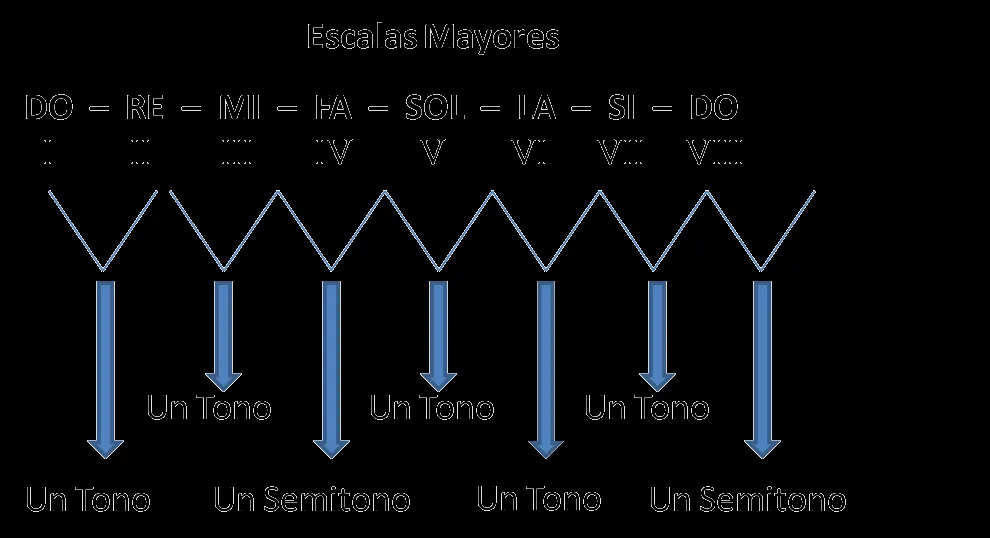 Aprender Música : Escala Musical Aprender Música : Escala Musical