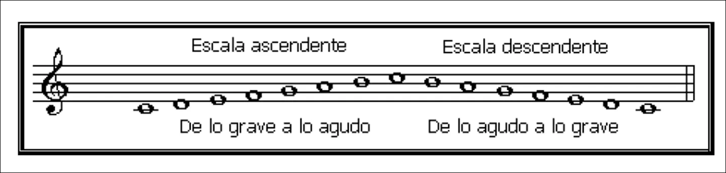Aprender Música : Escala Musical Aprender Música : Escala Musical