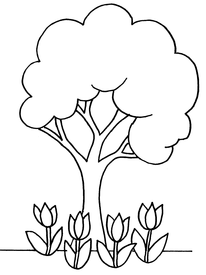 Arbol araguaney Colouring Pages