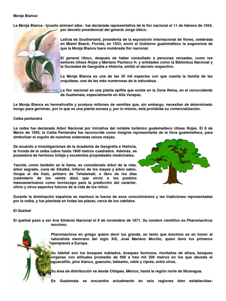 Arbol, Ave y Flor Nacional de Los Paises de Centroamerica | PDF | Plantas |  Conservación