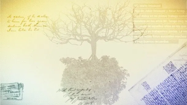 Cómo hacer un árbol genealógico | Todos los Apellidos Vascos ...