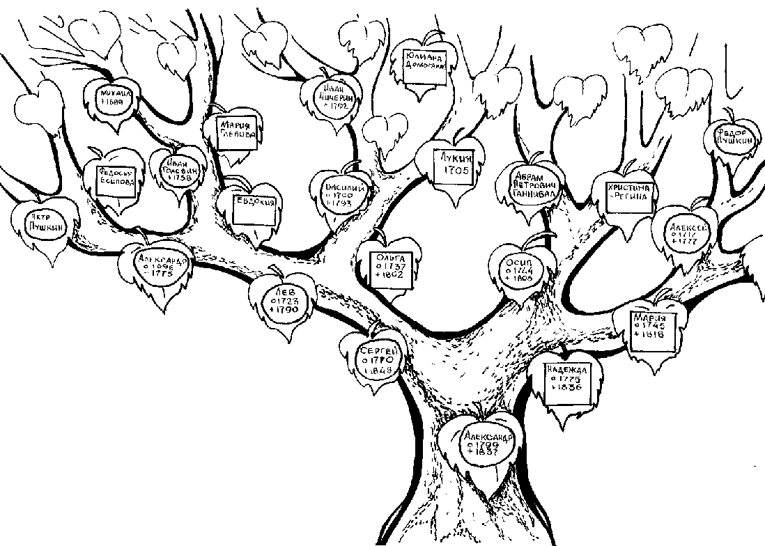 Arbol genealogico para colorear - Imagui