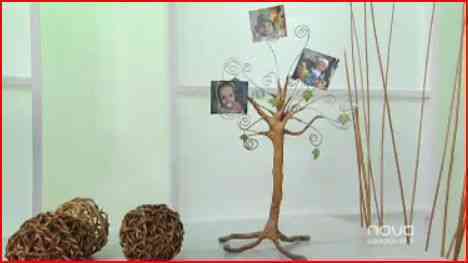 Un árbol genealógico para decorar con fotos - Video Decoración
