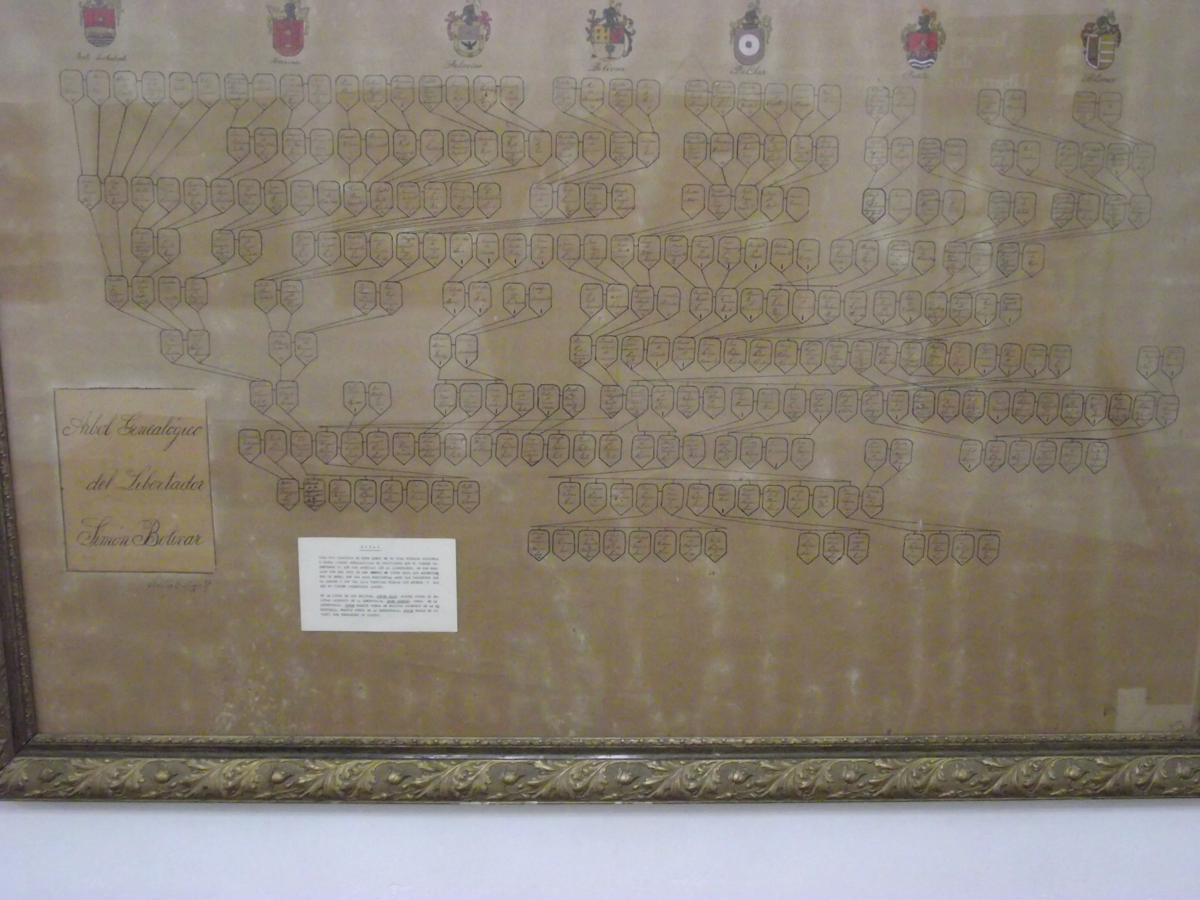Arbol Genealogico de simon Bolivar - Museo Antropológico Maracay ...