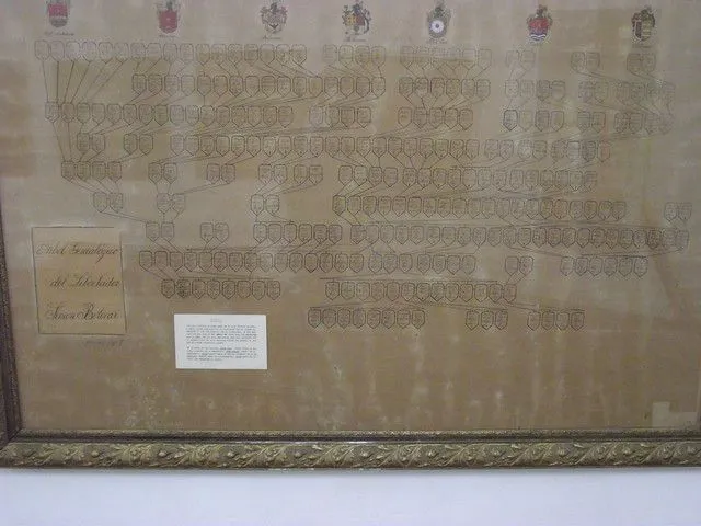 Arbol Genealogico de simon Bolivar - Museo Antropológico Maracay ... Arbol Genealogico de simon Bolivar - Museo Antropológico Maracay ...