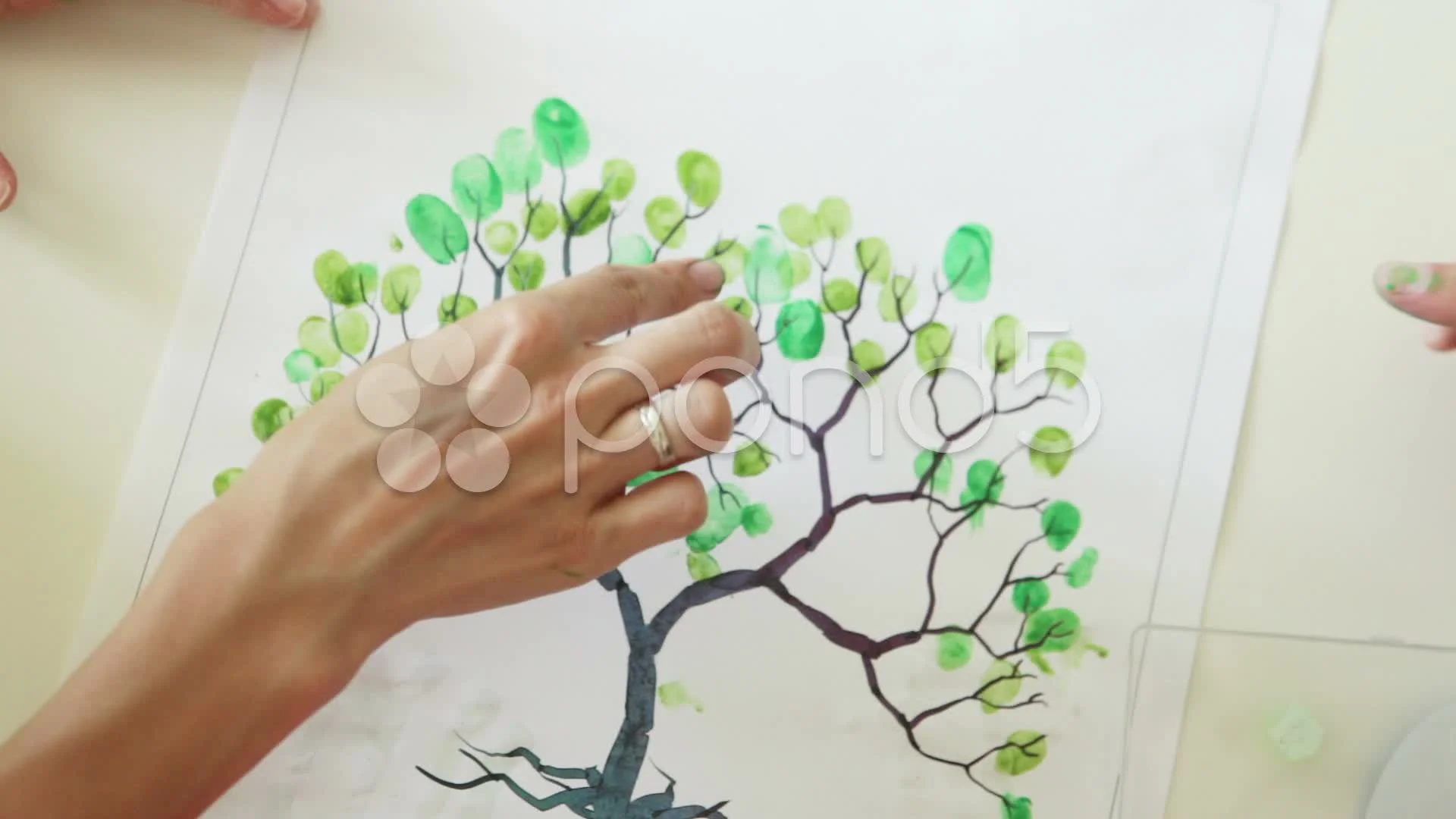 Árbol Genealógico videos 25472936 | HD Stock de Imágenes Árbol Genealógico videos 25472936 | HD Stock de Imágenes