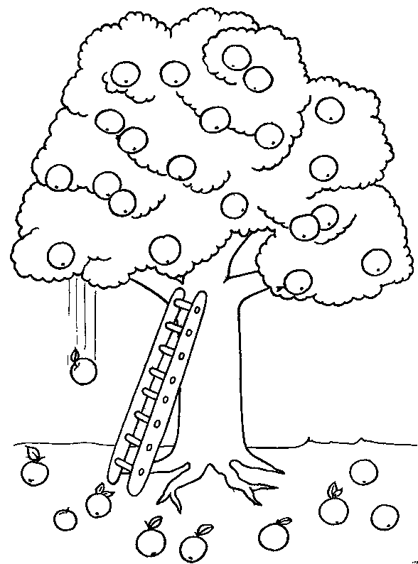 Dibujo de un árbol con manzanas para colorear - Imagui