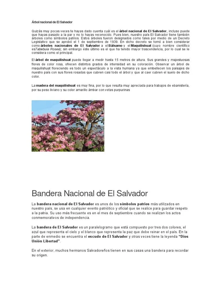 Árbol Nacional de El Salvador | PDF | El Salvador | Maíz