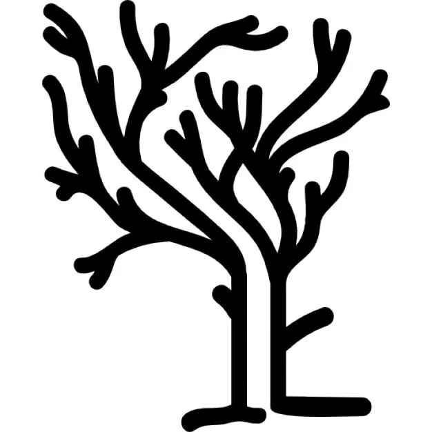árbol de ramas de formas irregulares en invierno sin hojas ...