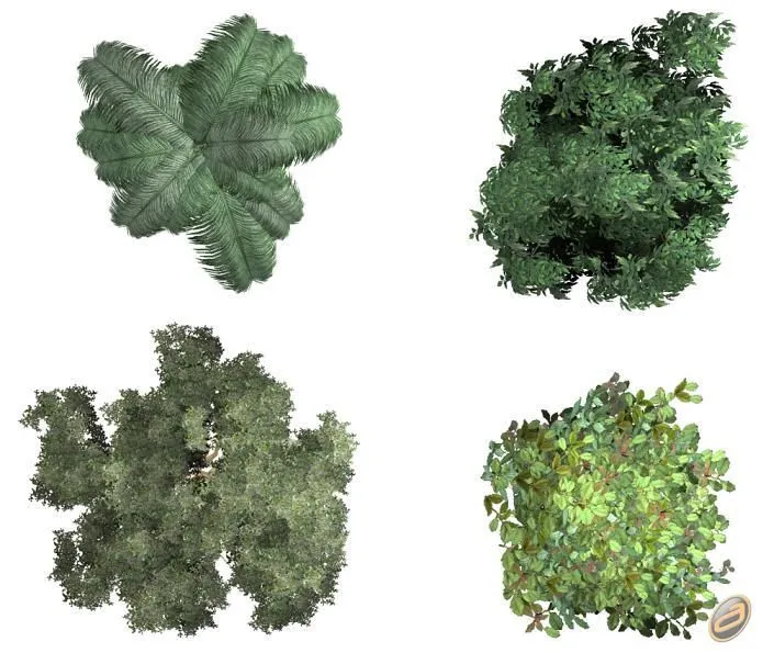 Arboles Autocad Photoshop: Árboles en Planta. Imágenes