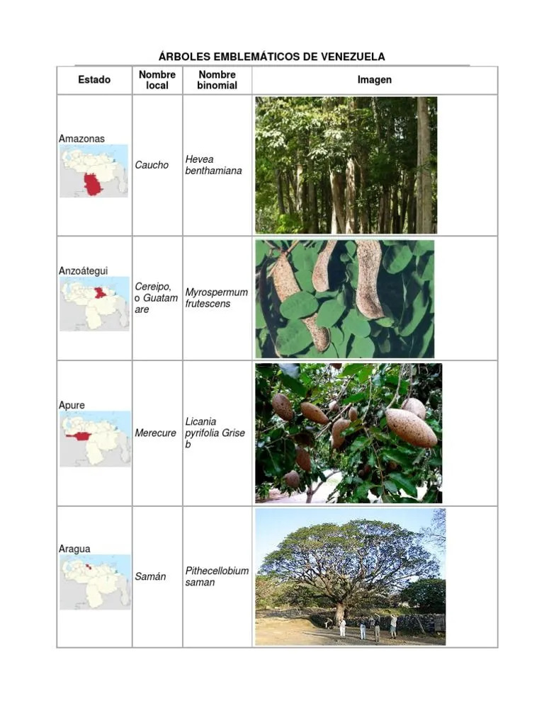 Árboles Emblemáticos de Venezuela | PDF