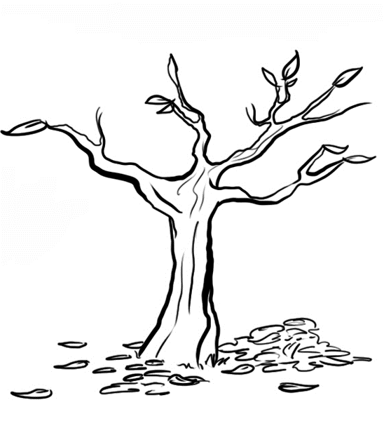 Dibujo de un tronco - Imagui