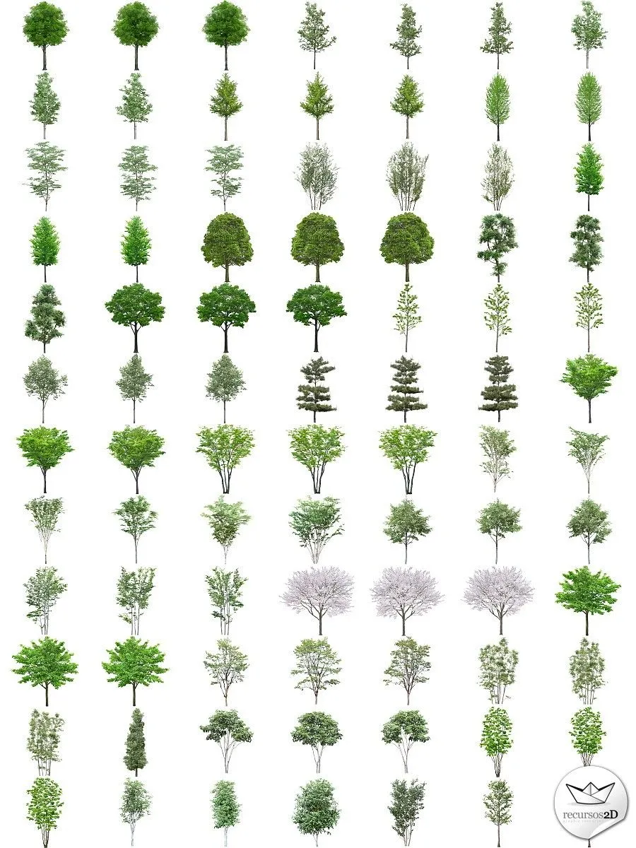 Árboles en PNG de alta resolución (PNG Transparent Trees) | Recursos ... Árboles en PNG de alta resolución (PNG Transparent Trees) | Recursos ...