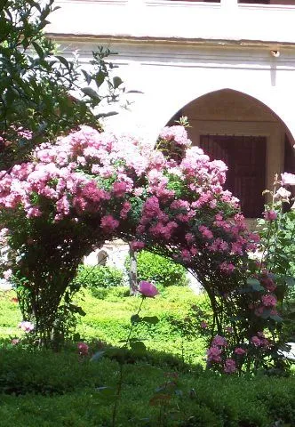 Arch of flowers. Arco de flores | Flickr - Photo Sharing! Arch of flowers. Arco de flores | Flickr - Photo Sharing!