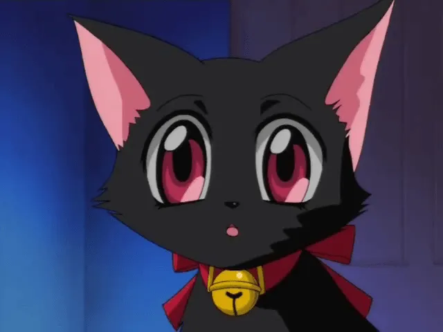 Archivo:Ichigo como gato (Anime).png - Wiki Tokyo Mew Mew Archivo:Ichigo como gato (Anime).png - Wiki Tokyo Mew Mew
