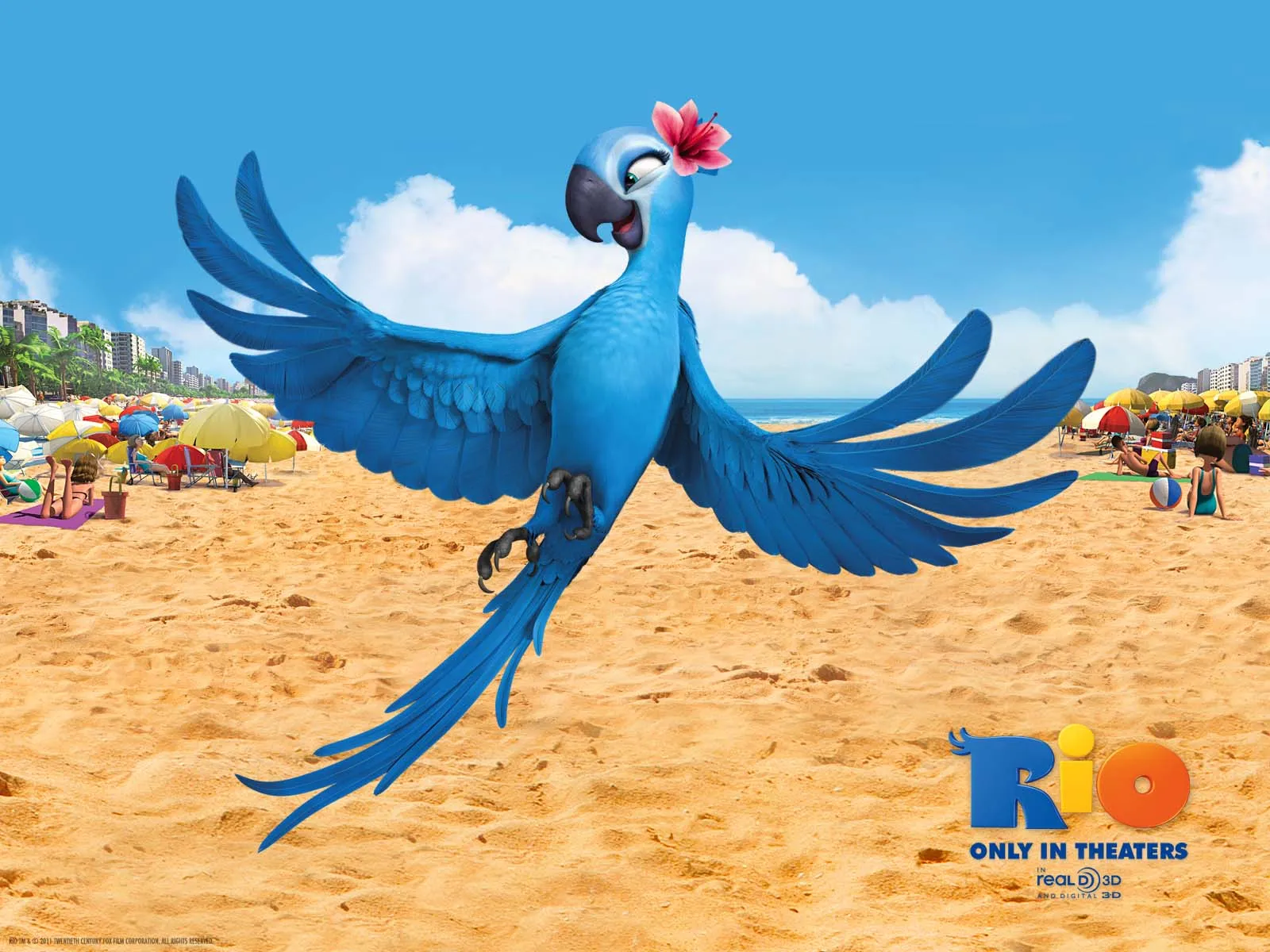 Archivo:Rio la pelicula (9).jpg - Phineas y Ferb Fanon Wiki - Es ... Archivo:Rio la pelicula (9).jpg - Phineas y Ferb Fanon Wiki - Es ...