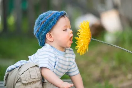 Una niña oliendo flores - Imagui