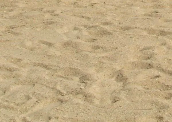 Arena de mar-Arena-Identificación del producto:117437246-spanish ... Arena de mar-Arena-Identificación del producto:117437246-spanish ...