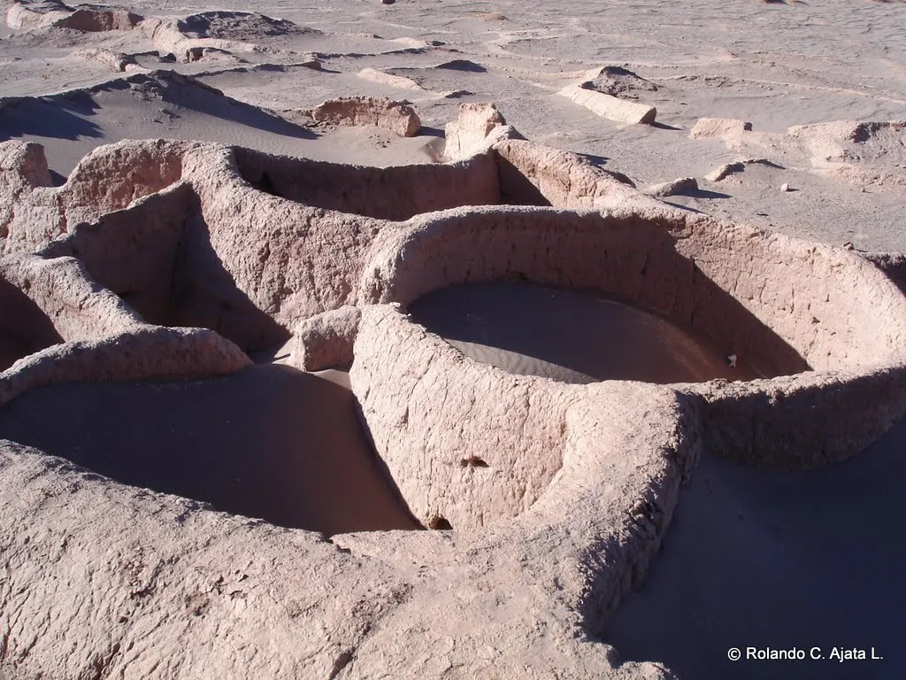 Arqueologia del Norte de Chile: marzo 2010