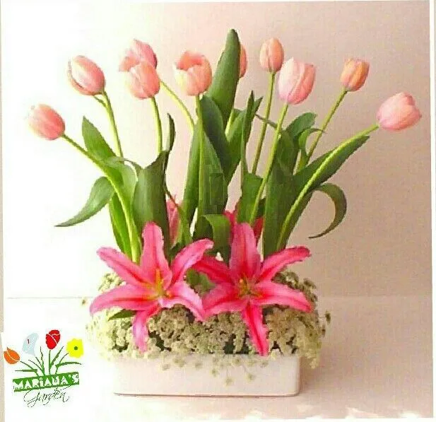 Arreglos florales con Tulipanes on Pinterest | El Salvador ...
