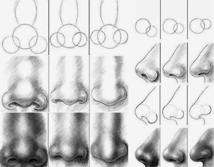 El arte de Arantxa: Como dibujar distintos tipos de narices de ...