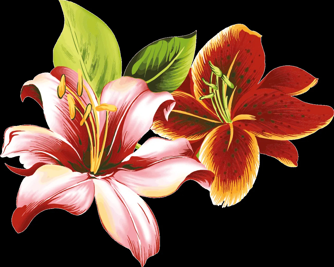 Arte digital: Flores vectoriales con fondo transparente - png