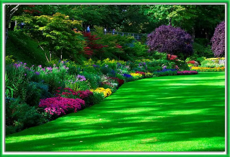 ARTE Y JARDINERÍA DISEÑO DE JARDINES: DISEÑO DE JARDINES CON ... ARTE Y JARDINERÍA DISEÑO DE JARDINES: DISEÑO DE JARDINES CON ...