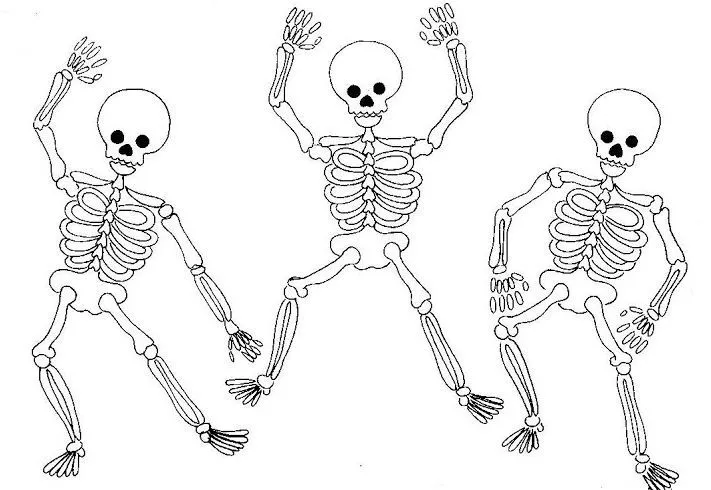 El esqueleto humano para colorear para inicial - Imagui