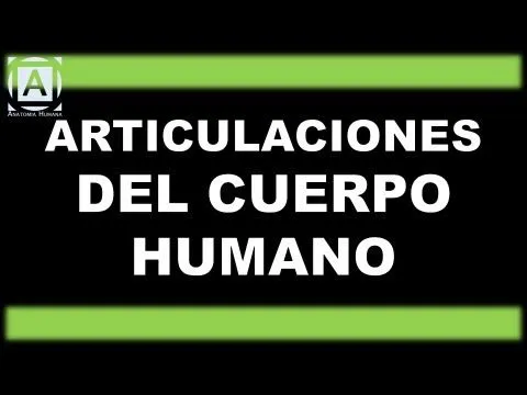 Articulaciones del cuerpo Humano - YouTube