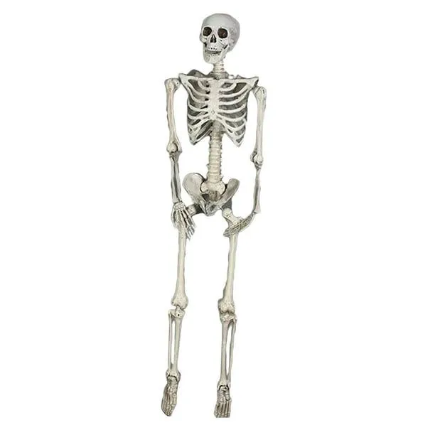 Articulaciones movibles del esqueleto del cráneo de Halloween, realista,  escultura del esqueleto hum Zulema esqueletos de halloween | Walmart en  línea