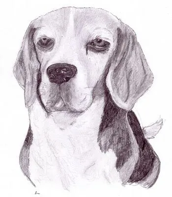 Artísticamente Laura: Sissy Dibujo a lápiz 07/08/09 Artísticamente Laura: Sissy Dibujo a lápiz 07/08/09