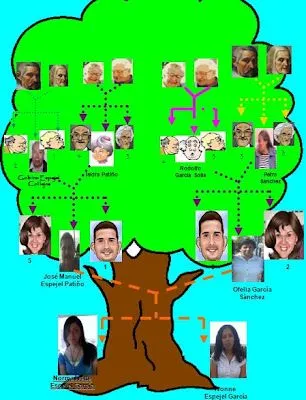 arbol genealogico: ivette