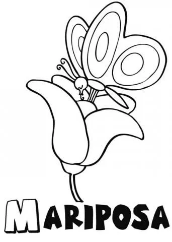 assets/images/dibujos/m/mariposa_sobre_una_flor_1_g_thumb_480x480.jpg assets/images/dibujos/m/mariposa_sobre_una_flor_1_g_thumb_480x480.jpg