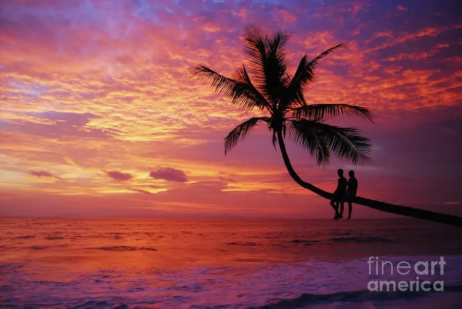 Atardecer En La Palmera Playa Blanca by Cesar Marino - Atardecer ... Atardecer En La Palmera Playa Blanca by Cesar Marino - Atardecer ...