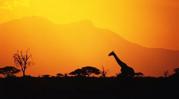 Safaris en Kenia | Safaris en África | Viajes a Kenia - Catai Tours
