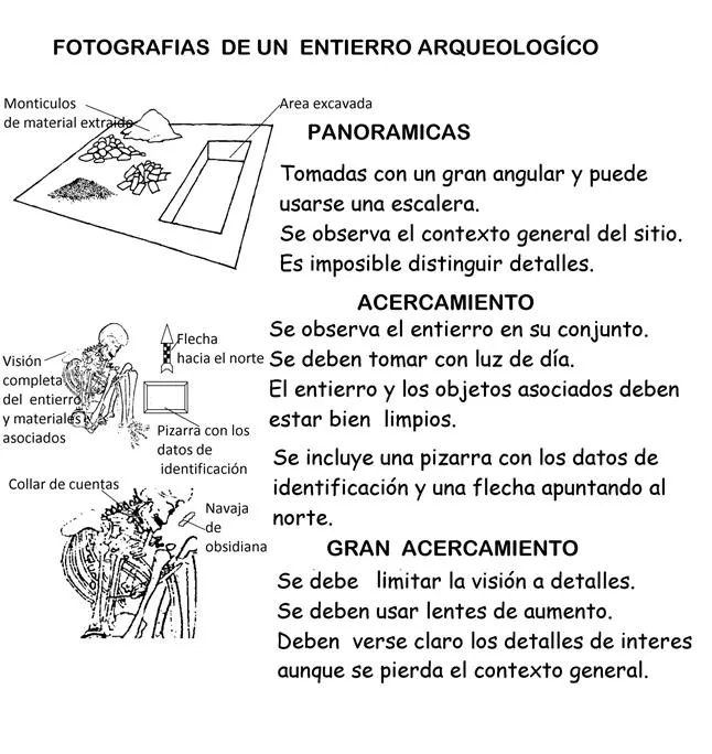 Atlas de osteología humana (página 5) - Monografias.com