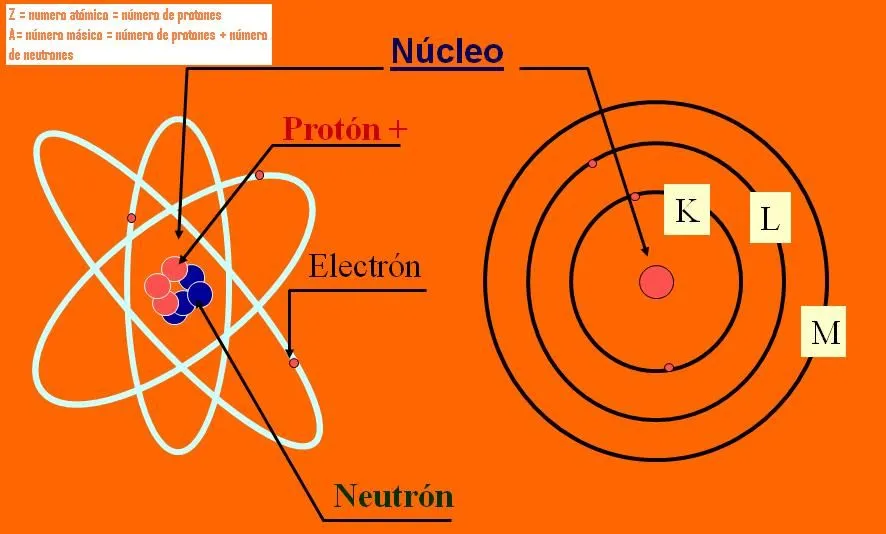 Átomo y partículas subatómicas | Proteccionradiologica's Blog