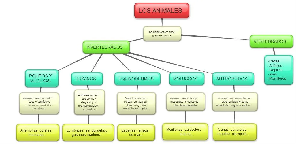 AULA5HERENCIA: CONOCIMIENTO DEL MEDIO - 2ª U.D. - LOS ANIMALES