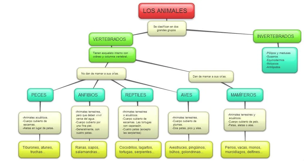 AULA5HERENCIA: CONOCIMIENTO DEL MEDIO - 2ª U.D. - LOS ANIMALES