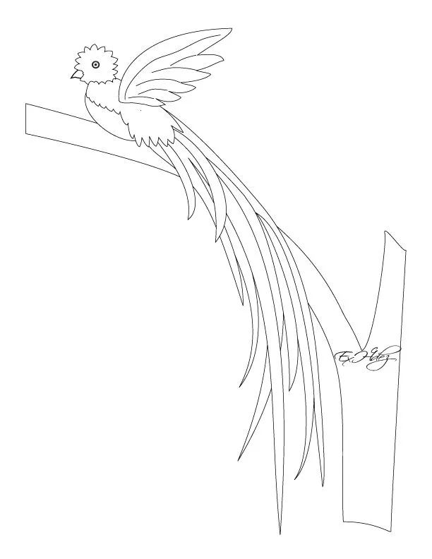 Dibujos de los Simbolos Patrios | Miblogchapin's Blog Dibujos de los Simbolos Patrios | Miblogchapin's Blog