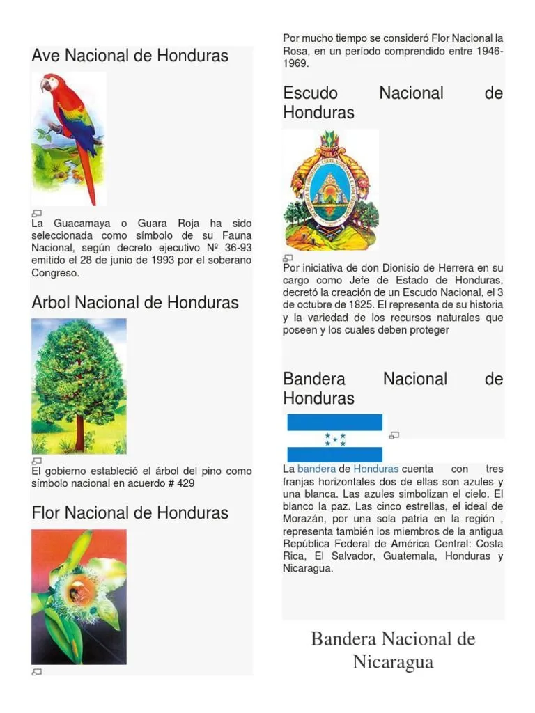 Ave Nacional de Honduras - para Combinar | PDF | Costa Rica | Honduras