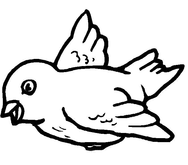 Aves facil de dibujar - Imagui