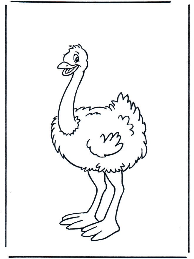 Dibujos.org / Dibujos Infantiles / Animales / Pequeño avestruz