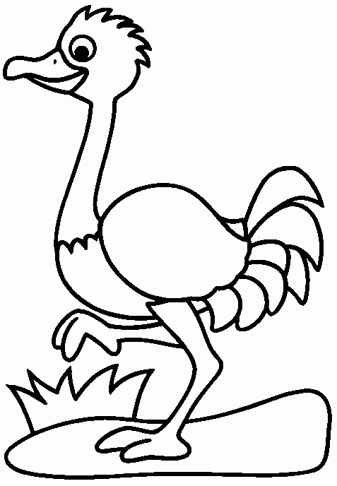 Dibujos para imprimir y colorear: Avestruz para colorear Dibujos para imprimir y colorear: Avestruz para colorear