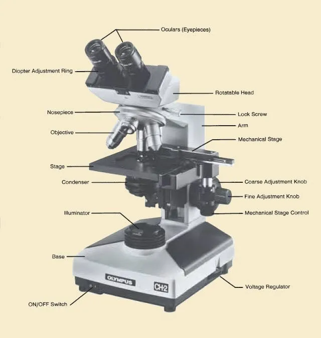 Avibert: Microscopio Sus partes
