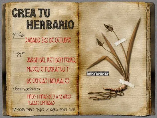 Ayuntamiento de Jumilla -La construcción de un herbario, próxima ...