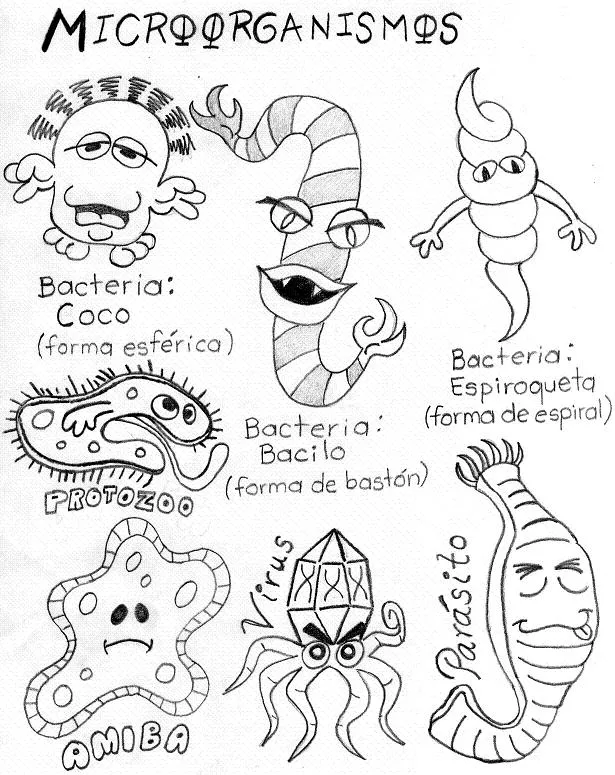 Microbiologia para dibujar - Imagui