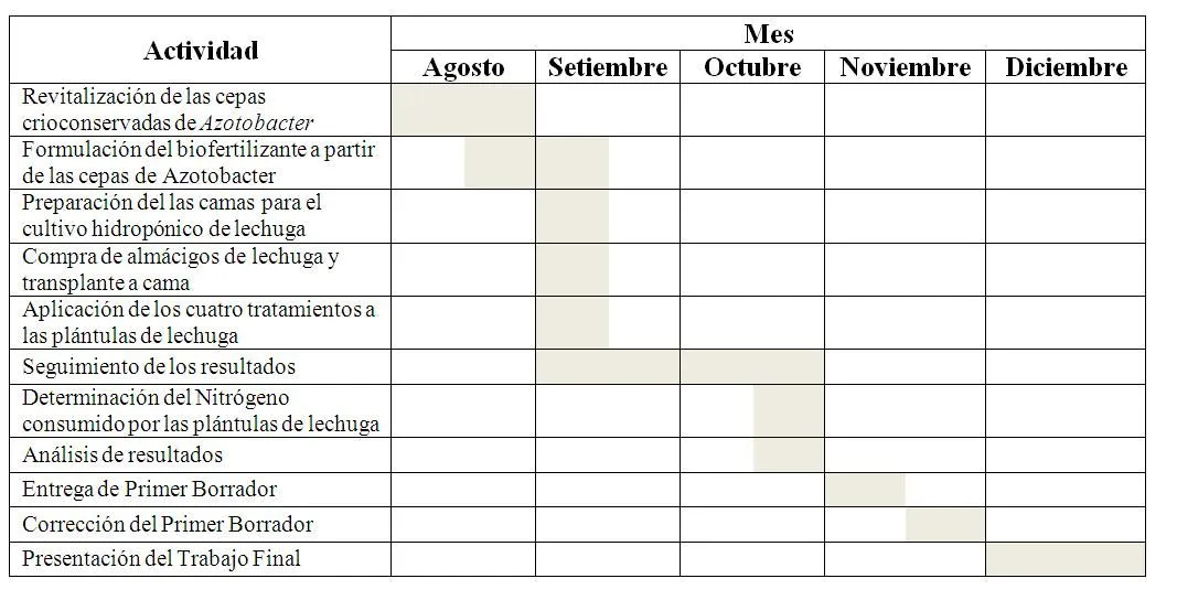 Bacterias Fijadoras de Nitrógeno en Costa Rica Bacterias Fijadoras de Nitrógeno en Costa Rica